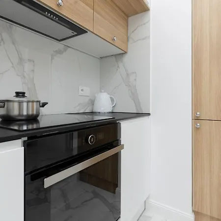 公寓 Praga Arte With Parking & Balcony By Renters